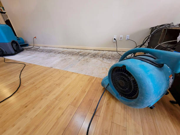 Professional Burst Pipe Water Damage technician working in Andreas, PA